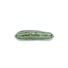 Chopstick Holder - Cucumber