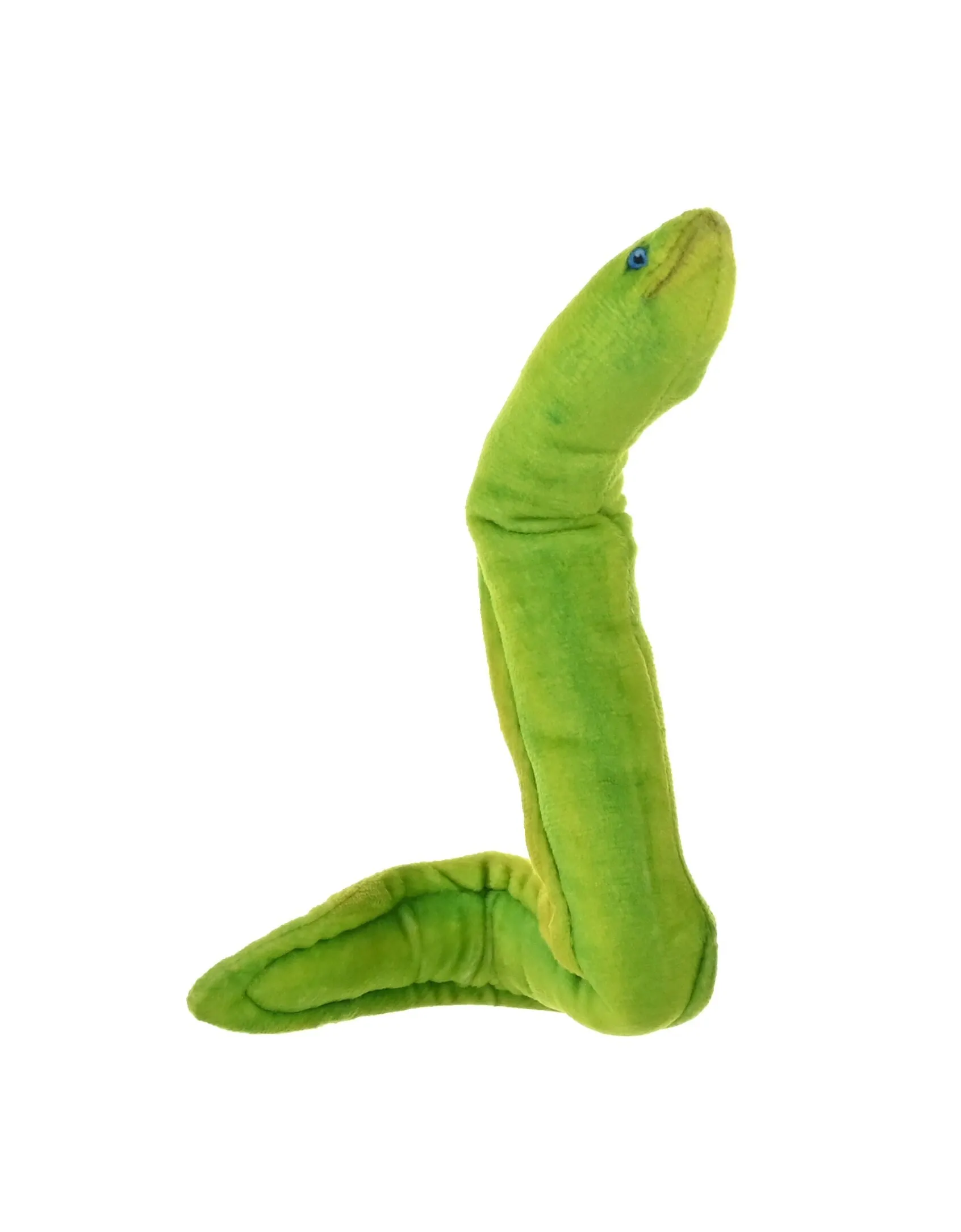 Coilkins Green Moray Eel Stuffed Animal - 12"