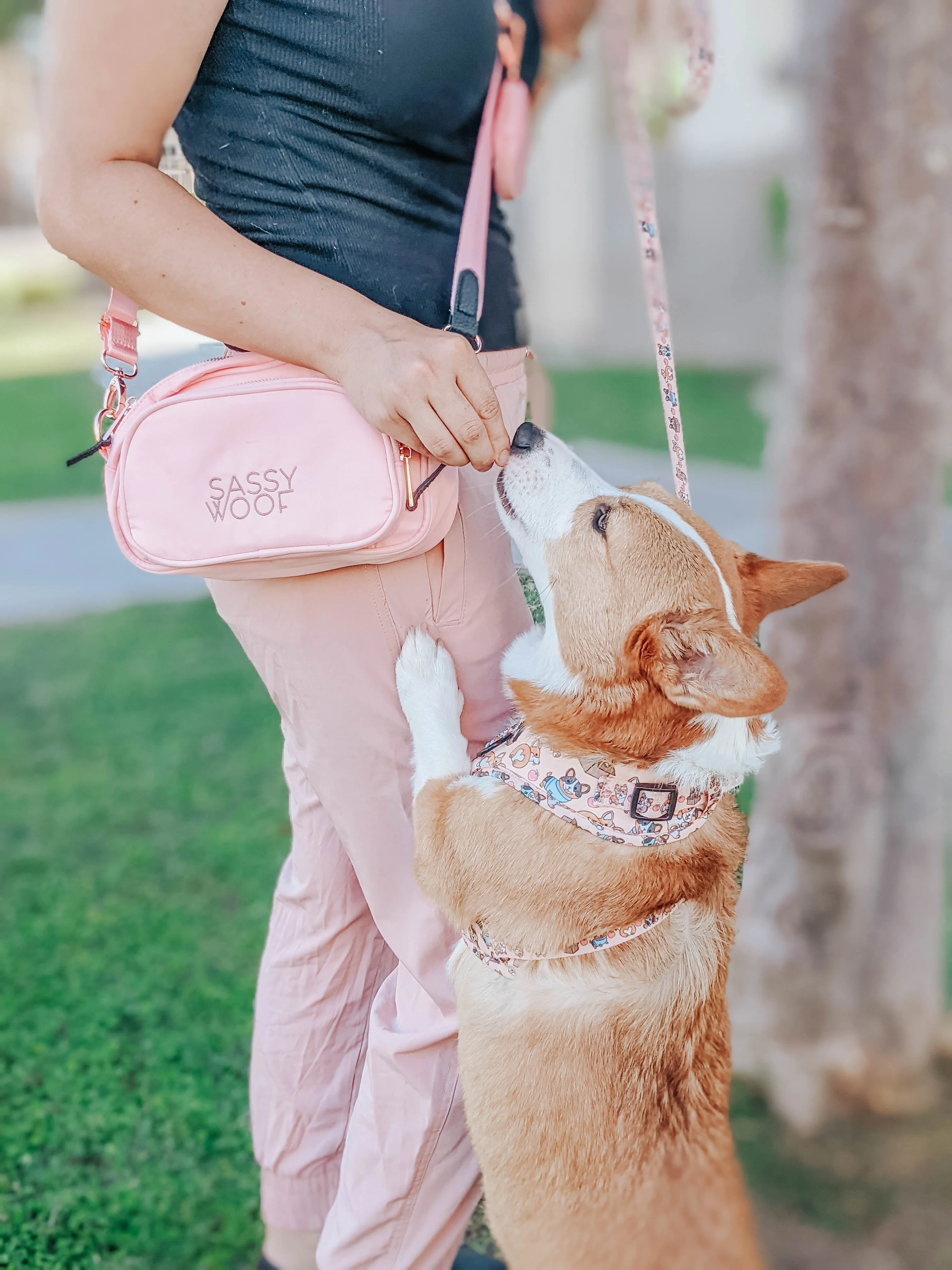 Crossbody Strap - Pink