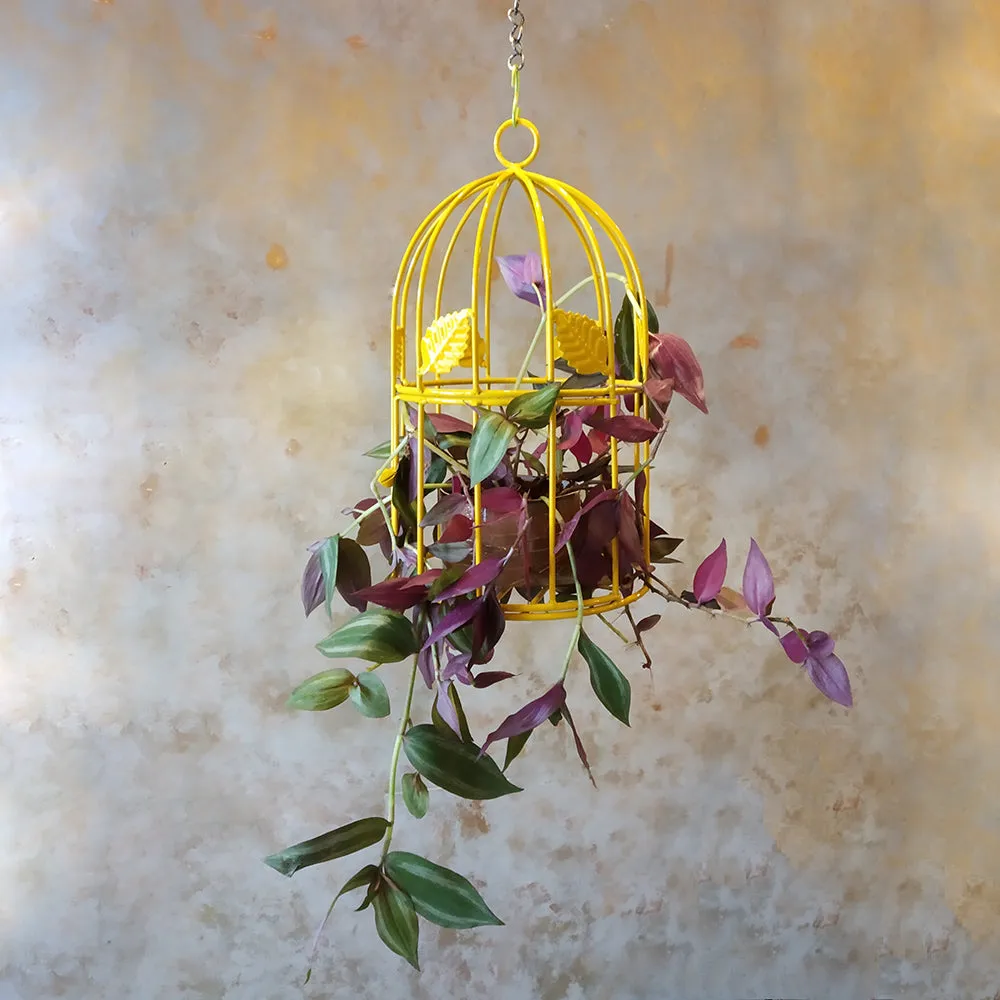 Garden décor Bird Cage Planter