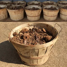 Mining Basket Fresh Dirt Bucket Of Crystals