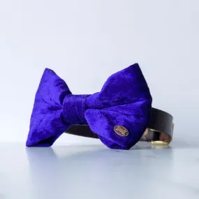 Purple Pomp Velvet Dog Bow Tie