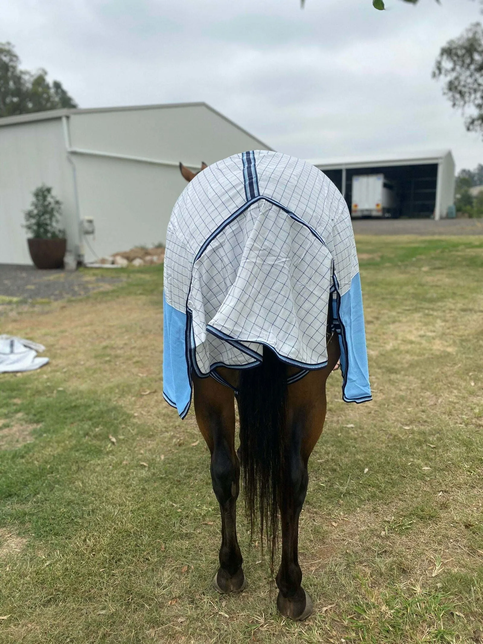 Ruby Rose Poly Cotton/ Mesh Hybrid Combo Horse Rug