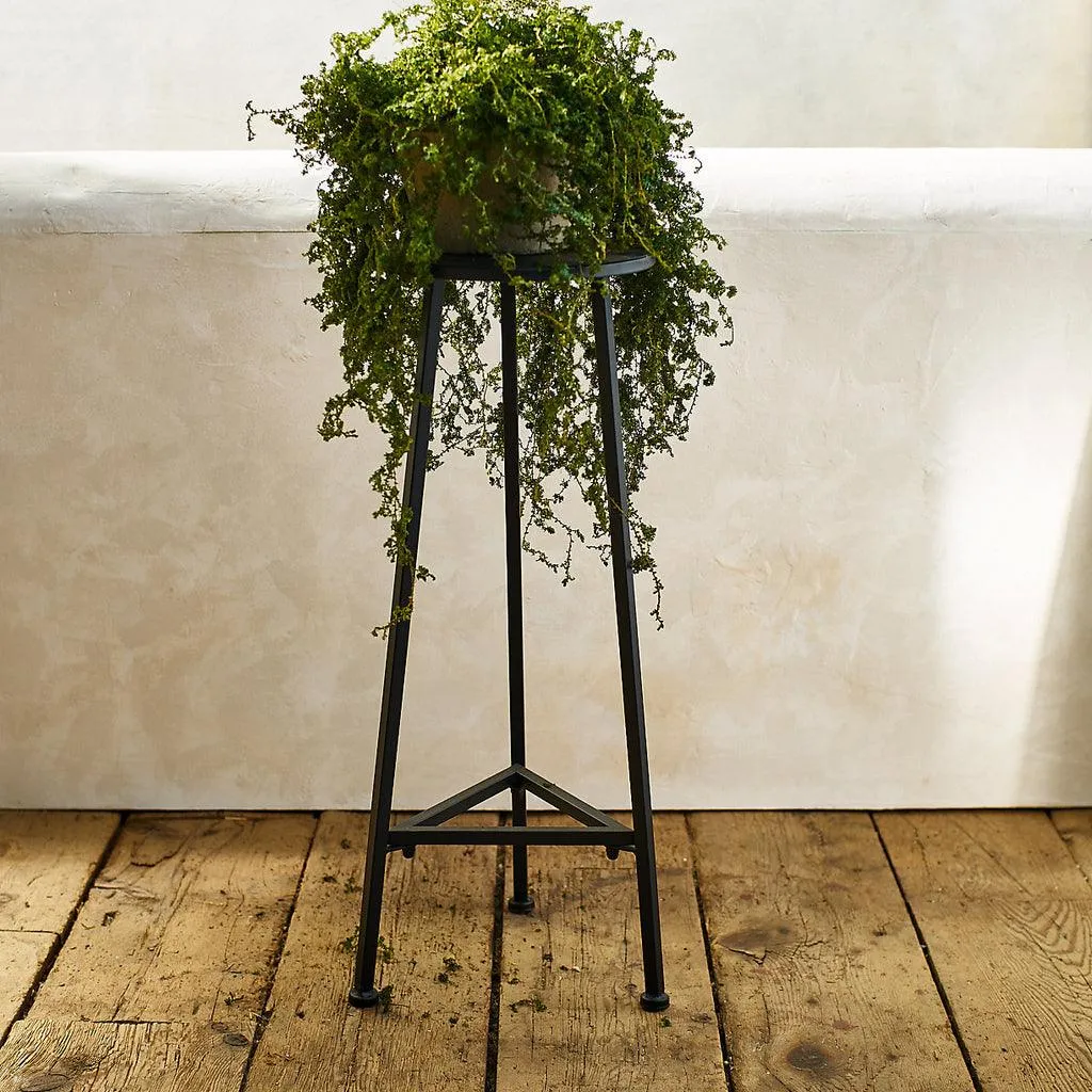 Three Leg Iron Plant Stand