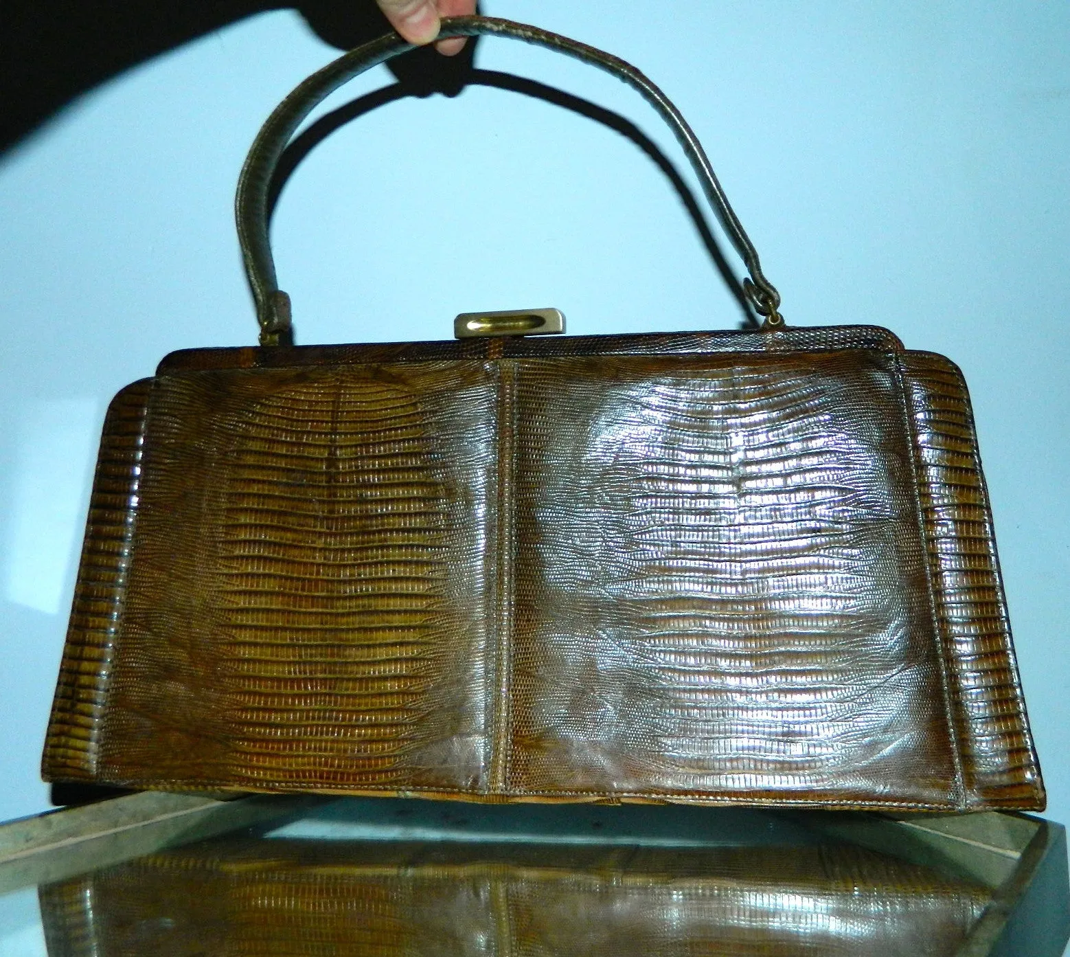 vintage brown TEGU lizard handbag Palizzio 1960s purse