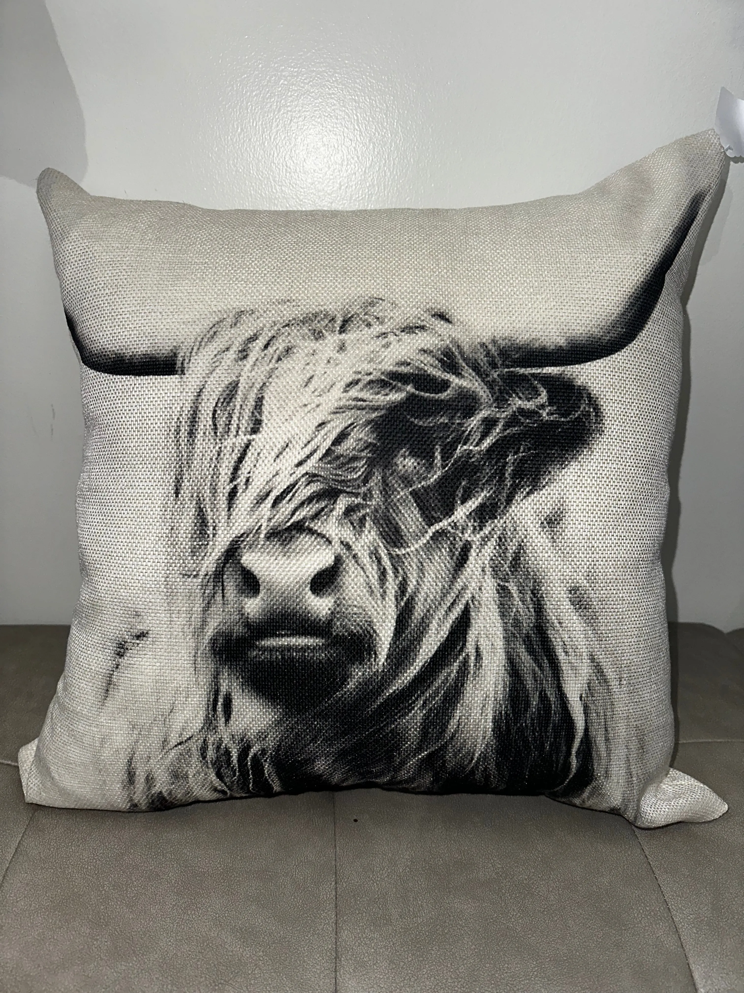 Western Themed Throw Pillows